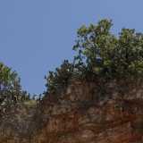 ...circondata da alte spalle rocciose rossastre su cui fanno capolino alberi da frutto e fichi d�india